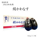 愛媛県産 JAえひめ未来 絹かわなす 約5kg 11~17個 きぬかわなす ぼてナス ジャンボ 茄子 なす