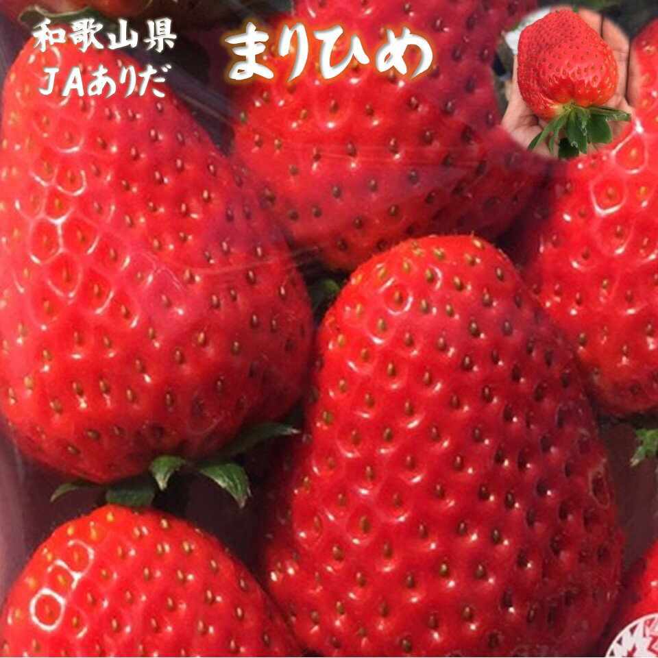 送料無料 【曜日指定ができない商品です】和歌山県JAありだ まりひめ 約300g 約11〜15玉 2パック入り