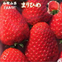 いちご 送料無料！【曜日指定ができない商品です】和歌山県JAありだ　まりひめ　約300g（約11〜15玉)×2パック入り