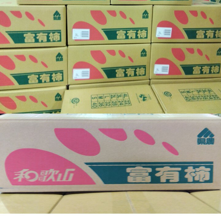和歌山県　JAわかやま　紀北地域　　富有柿　（家庭用）2Lサイズ28玉　　7.5Kg