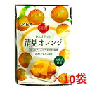 和歌山県JA紀南　ドライフルーツ清見オレンジ　20g×10袋【保存料・香料不使用】