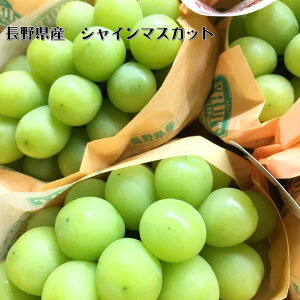 【シャインマスカット】長野県JAながの須高　約5kg　10〜12房入り甘くて美味しい！！