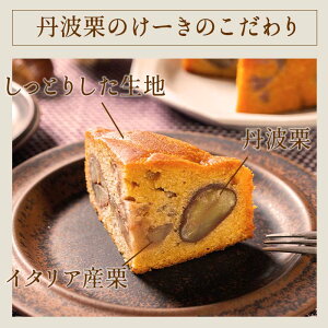 【新発売】送料無料 / 丹波栗のけーき KCA/ 丹波 ギフト 退職 ギフト プレゼント 手土産 お礼 お返し 挨拶 内祝い お祝い お土産 お菓子 焼き菓子 丹波栗 栗スイーツ スイーツ 洋菓子 和菓子 和洋菓子 贈り物 お取り寄せ お お盆 敬老の日