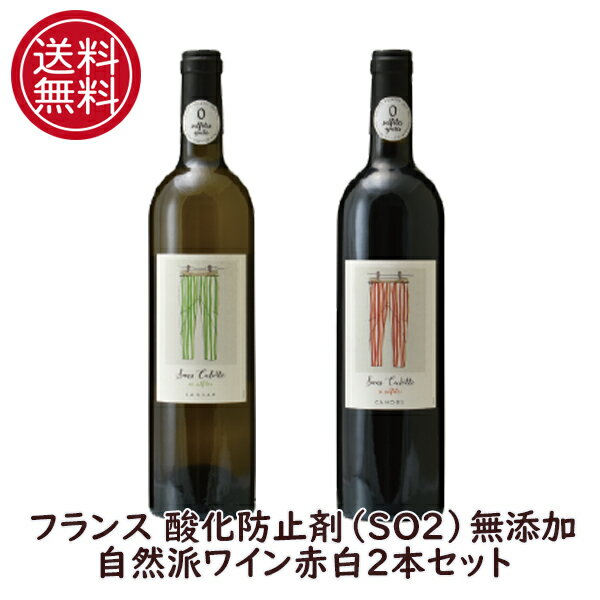 【本州・四国は送料無料】フランス 酸化防止剤無添加 赤白ワイン 2本セット サン キュロット ヴィノヴァリー SO2無添加 オーガニックワイン 自然派ワイン セット 送料無料