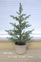 【おしゃれ・高級感・大人可愛いツリー】 クリスマスツリー 45cmフォリッジプラントツリー