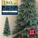 【予約販売開始！2023年10月10日ごろ入荷予定・入荷次第順次発送】【おしゃれ・高級感】 クリスマスツリー リアル スリム 単品 おしゃれ 北欧 180cm ヨーロピアンブルースプルースツリースリム もみの木 クリスマス木 Instagram 人気