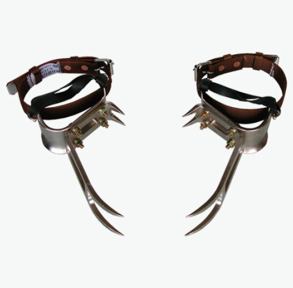 【ポイント10倍】藤井電工 FR-100 木登り器 4本爪 締付けベルト ゴムバンド付