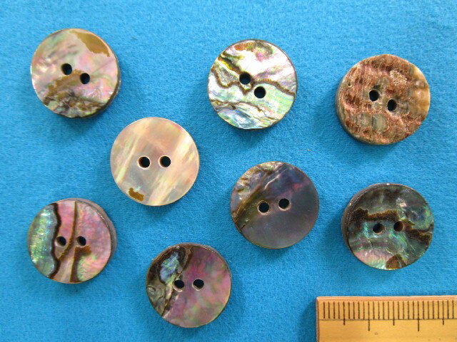 貝ボタン（18mm）