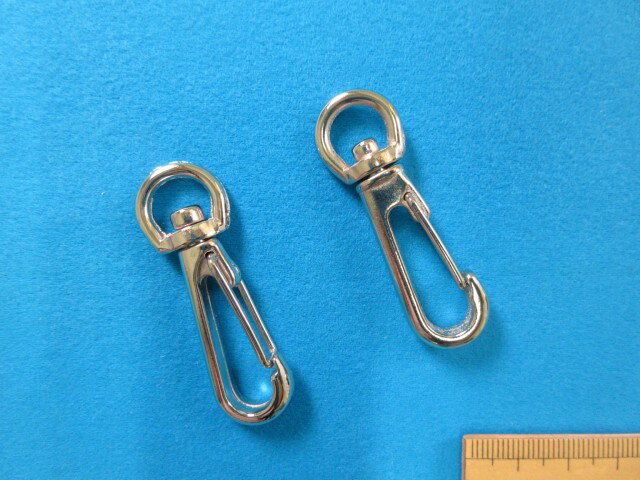 ナスカン（1.0c・銀）2個入