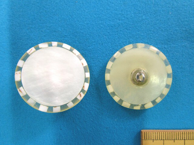 貝×樹脂ボタン（30mm）