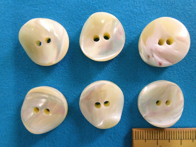 貝ボタン（19mm）