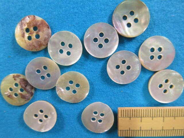 貝ボタン（15mm）