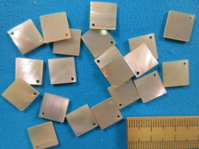 シェルパーツ （10×10mm）アイボリー