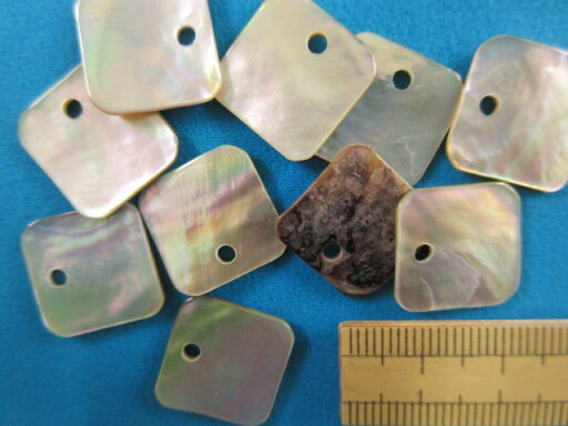 シェルパーツ (16×16mm) シェルパーツ (16×16mm)