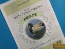 手芸キットほっこり動物ブローチお散歩カモ（スタンプワークで作