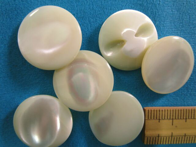 貝ボタン（20mm）