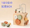 1台5役の知育BOX 知育玩具 木のおもちゃ ギフト 誕生日 おもちゃ 知育玩具 1歳誕生日プレゼント 木のおもちゃ 1歳 1歳半 2歳 一歳 知育おもちゃ 知育 赤ちゃん 指先知育 誕生日 プレゼント 男の子 女の子 脳トレ 出産祝い 木製 色認識