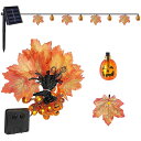ハロウィン 飾り 装飾 ライト ランタン led 楓の葉 ストリングライト ソーラー イルミネーションライト 6.5M 30LED 防水 屋内 屋外用 カエデの葉 インテリア ホームパーティー 暖炉 家庭用インドア装飾 感謝祭 照明飾り おしゃれ 庭 パーティ イベント 飾り雰囲気作り出す(3)