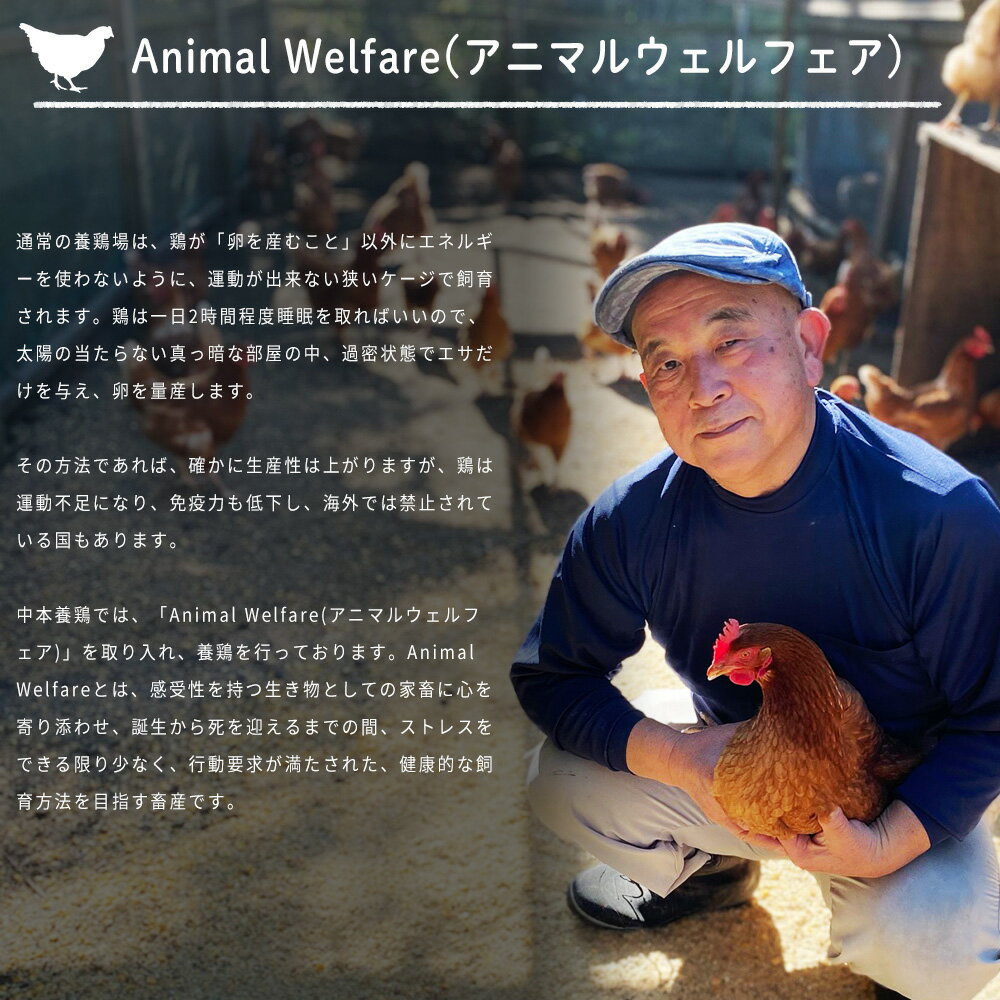 《数量限定》南総フォレスト卵 平飼い 養鶏卵 ...の紹介画像3