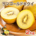 キウイ フルーツ サンゴールドキウイ 2kg 約15-20玉 ニュージーランド産 送料無料 ゼスプリ キウイ 果物 朝食 ヨーグルト プレゼント ギフト 贈答 ...