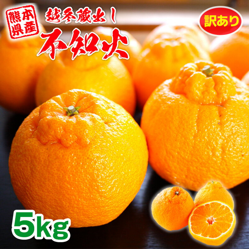 訳あり 不知火 デコポン 5kg 熊本産 越冬蔵出し不知火 送料無料 ご家庭用 常温便 贈答 ギフト 贈り物 お年賀 お土産 先行予約 1月上旬ごろ発売予定