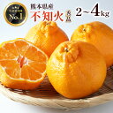 【クーポンで30%OFF 期間限定 2/19 20:00 ~ 2/23まで 】デコポン 不知火 2kg 4kg みかん 秀品 熊本産 送料無料 ギフト プレゼント 贈答 冬ギフト お土産 常温便