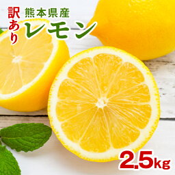 訳あり レモン 熊本県産 約2.5kg 送料無料 防腐剤 ワックス未使用 国産 リスボン マイヤー 箱 家庭用 ご当地 お取り寄せ 常温便