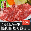 あか牛 赤身 切り落とし 300g 1・2人前 熊本産 送料無料 GI認証 国産 ブランド 牛肉 和牛 赤身 焼き肉 アウトドア 贈答 ギフト お土産 クール便 2