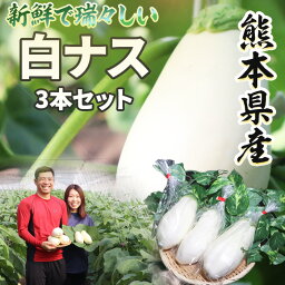 【 熊本県産白ナス 3本セット】1本250g～300g / 熊本県産 今ちゃん農園 白なす ナス 国産 無添加 送料無料 常温便 野菜 新鮮な野菜 家庭用