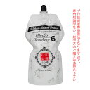 日本グランデックス 和漢彩染 十八番 デベロッパー6％ 1000mL (第2剤） 医薬部外品