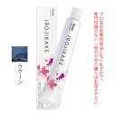 【最大1000円引クーポン4/24 9:59迄】ホーユー イロジカケ ベージュライン ラグーン 80g 医薬部外品