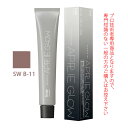 【お代金が半額チャンス5/8 9:59迄】ホーユー プロマスター アプリエグロー SW B-11 スウィートベージュ 80g 医薬部外品