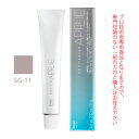 【お代金が半額チャンス5/8 9:59迄】ホーユー プロマスター アプリエ SG-11 セピアグレージュ 80g 医薬部外品