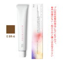 【お代金が半額チャンス5/8 9:59迄】ホーユー プロマスター E BR-6 エフェクトブラウン 80g 医薬部外品