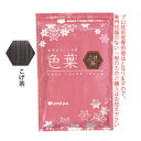 【全品ポイント+10倍(要エントリ)7/26 1:59迄】香草カラー色葉 こげ茶 300g(100g×3)