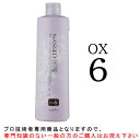 【お代金が半額チャンス4/29 9:59迄】 ナプラ ナシードカラーオキシ OX6％ 1000mL 医薬部外品