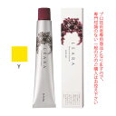 【お代金が半額チャンス5/8 9:59迄】サンコール レアラカラー Y イエロー 80g (第1剤) 医薬部外品