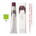 【お代金が半額チャンス5/8 9:59迄】サンコール レアラカラー YG イエローグリーン 80g (第1剤) 医薬部外品