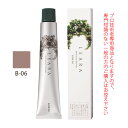 【お代金が半額チャンス4/21 9:59迄】サンコール レアラカラー B-06 ブラウン 80g (第1剤) 医薬部外品