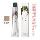 サンコール レアラカラー BN07 ナチュラルブラウン 80g （第1剤） 医薬部外品