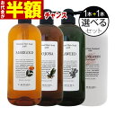 【お代金が半額チャンス4/29 9:59迄】 ルベル ナチュラルヘアソープ(シャンプー) ＆ トリートメント 720mL (ポンプ) 選べる2本セット ／ Lebel ルベル セット おすすめ品 ナチュラル ヘア サロン専売品 ヘアケア slbrscam