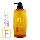 【お代金が半額チャンス4/29 9:59迄】 ルベル イオ クレンジング フレッシュメント ＜ シャンプー ＞ 600mL ／ ノンシリコンシャンプー lebel IAU サロン専売品 ヘアケア