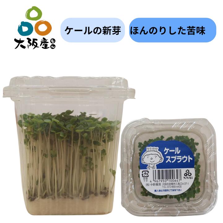 【 スプラウト 大阪産(もん) 】ケール スプラウト ケールの 新芽 10個 栄養価の高い 発芽野菜 健康野菜 生産者 直送 大阪府産 無農薬栽培 サラダ 和え物 スムージー 青汁 付け合わせ 苦味マイルド 少量で栄養価たっぷり 苦味が苦手な人も試して 青汁でお馴染みの元祖健康野菜であるケールをより食べやすいスプラウトにしました。独特の苦みがお料理のアクセントに！ 5