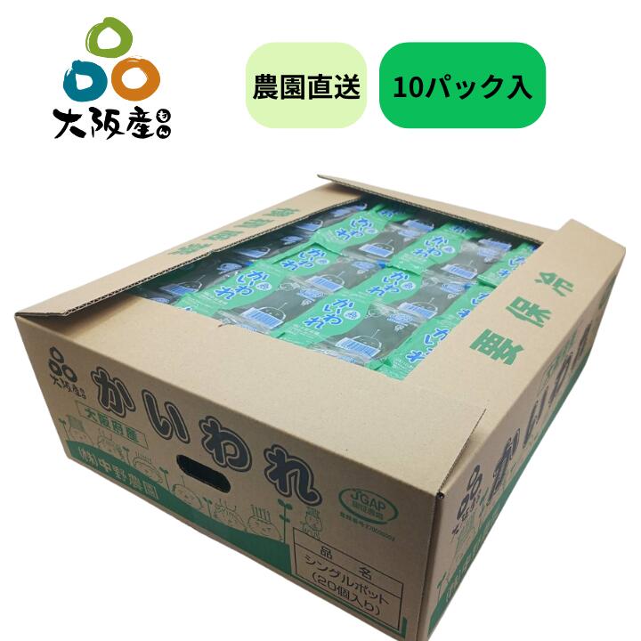 �� ���ץ饦�� ��建(���) �ۤ������ �纬 �纬�ο��� �ջ� ��ͭ ���ܲ��ι⤤ �¤ϥ����ѡ��ա��� ȯ����� ����ľ�� ����ܻ� ̵�������� ��̣ ����� �ˤ������� �ޥ�͡����ȹ�碌��ȿɤߤ��ޥ���ɤ� ���äȤ�Ǥ�Ȥ���˿��٤䤹�� ��������