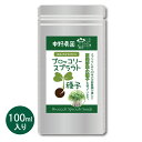ブロッコリースプラウト 専用 種子 100ml スルフォラファン 高含有種子 高発芽率 超硫黄分子 プロが使用する 種 人気の スプラウト 自宅で簡単 無消毒種子 中野農園 【 メール便送料無料 】