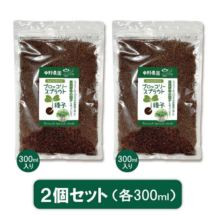 ブロッコリースプラウト 専用 種子 300ml 2個セット スルフォラファン 高含有種子 高発芽率 超硫黄分子 プロが使用する 種 人気の スプラウト 自宅で簡単 自由研究に 無消毒種子 中野農園 【 メール便送料無料 】