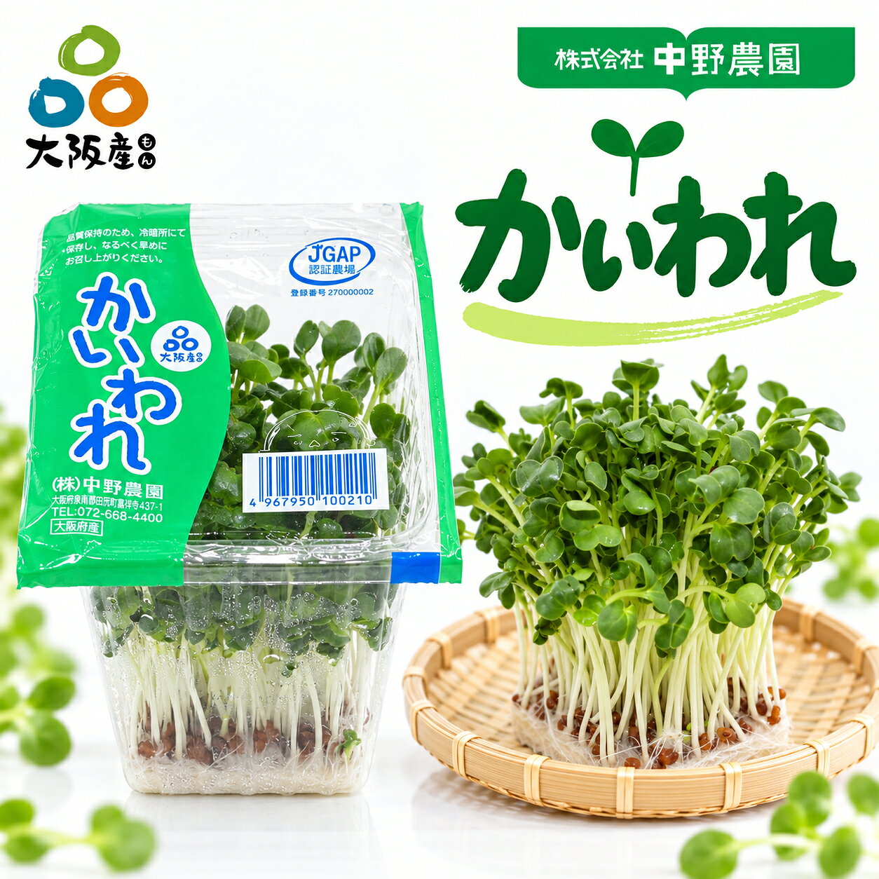 【 スプラウト 大阪産(もん) 】かいわれ 大根 大根の新芽 葉酸 含有 栄養価の高い ...