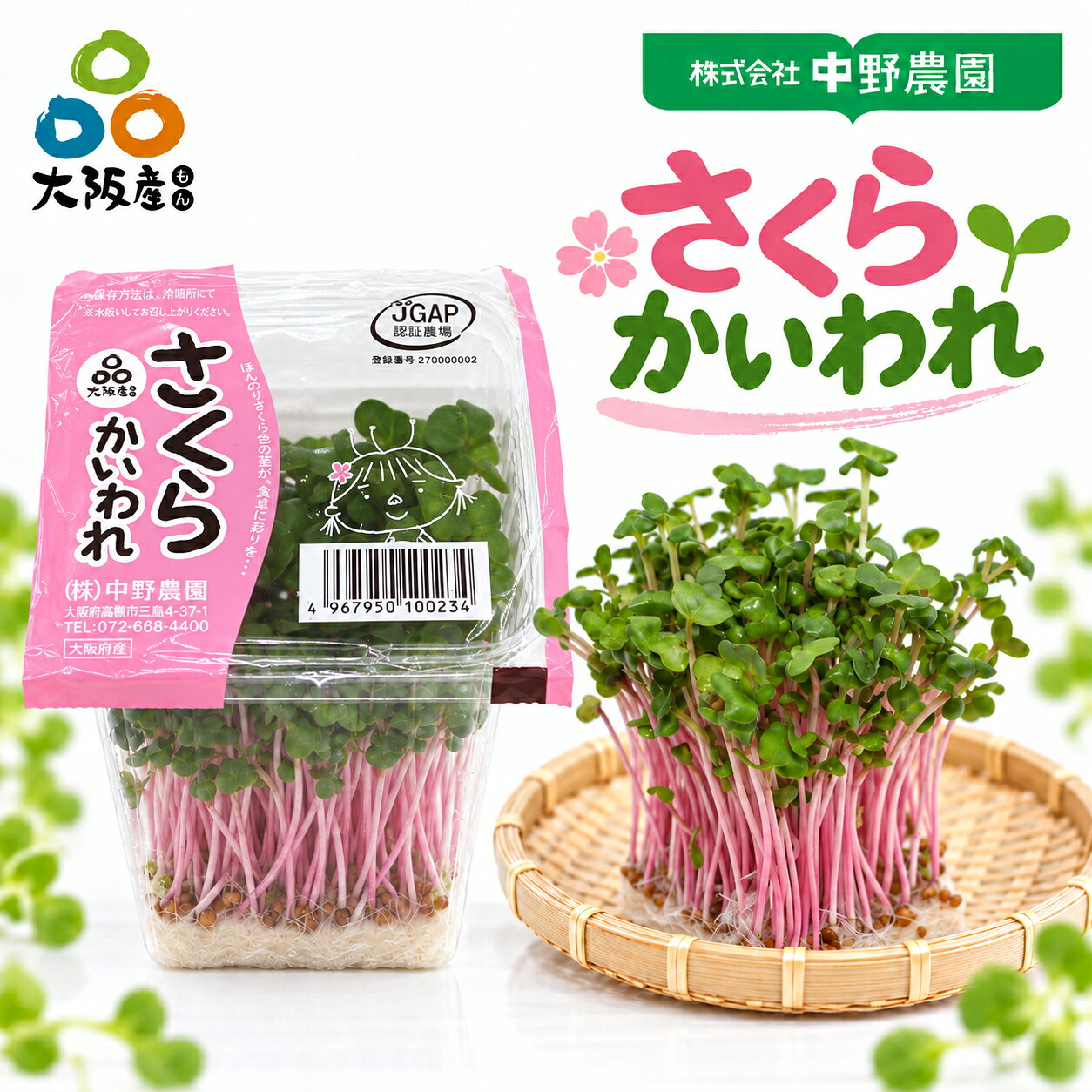 【 スプラウト 大阪産(もん) 】 さくら かいわれ かいわれ大根 20パック 紅大根の...