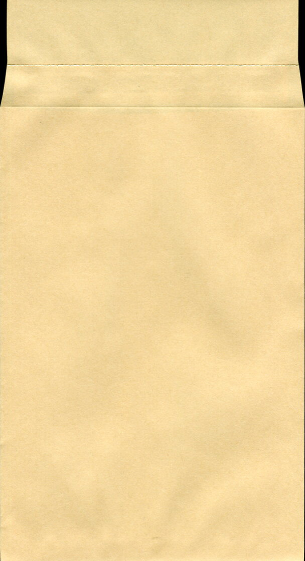 封筒 クラフト封筒 貴重品袋 (大) クラフト 70g センター貼 枠なし (スチック糊付) 1000枚 j2103