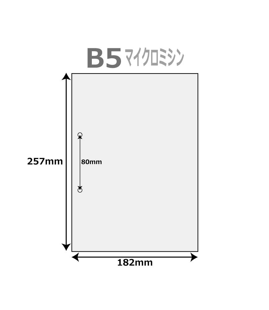 帳票用紙 500枚 ファイル穴2個付 B5サイズ レーザープリンター インクジェットプリンター プリンター用紙 マルチプリンタ用 上質コピー用紙 帳票用紙